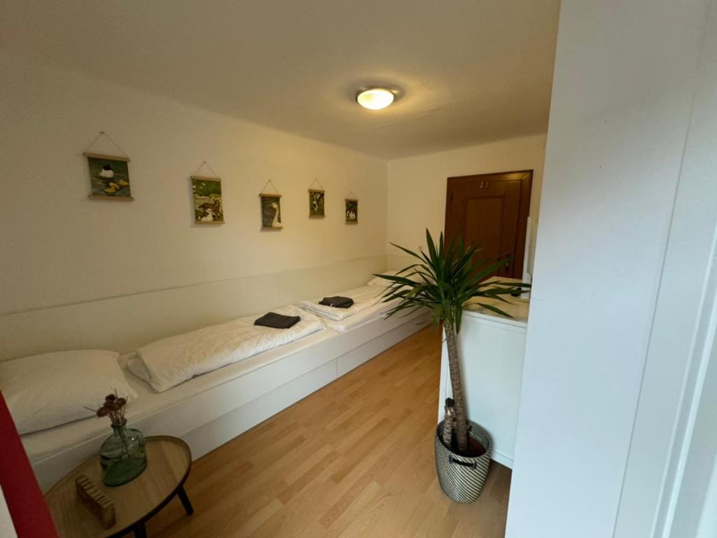 Apartment Go For Mountains